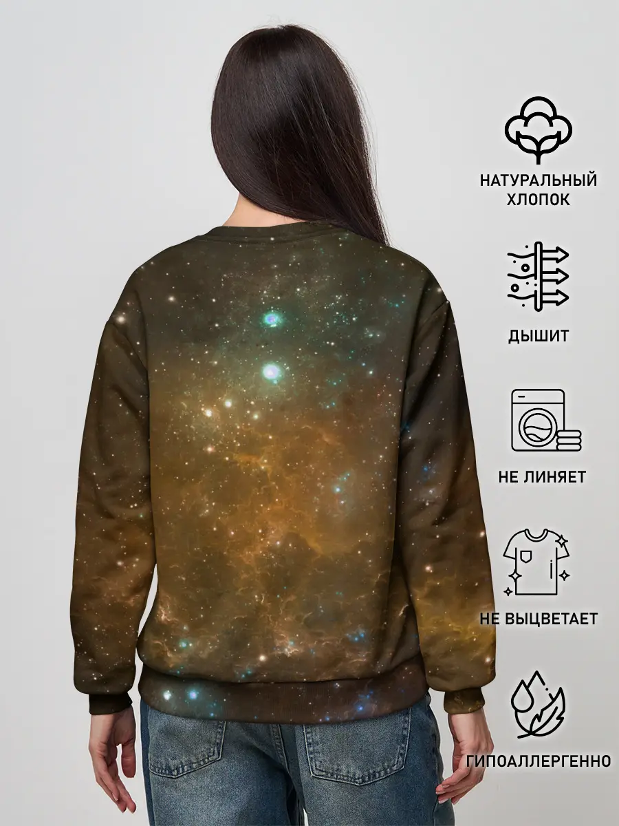 Женский свитшот / Night Fury