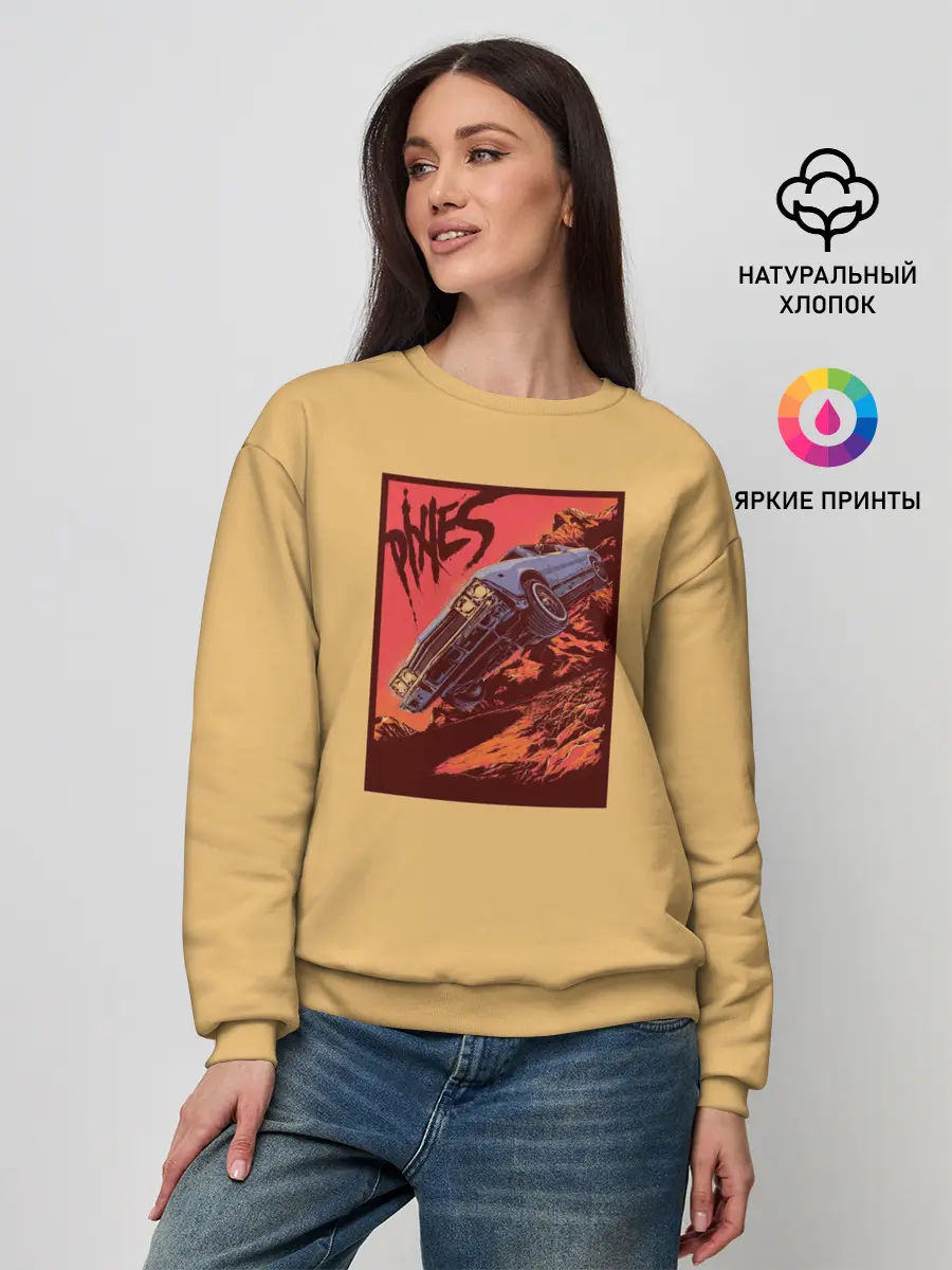 Женский свитшот / Pixies