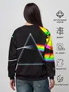 Женский свитшот / PINK FLOYD