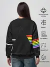 Женский свитшот / PINK FLOYD