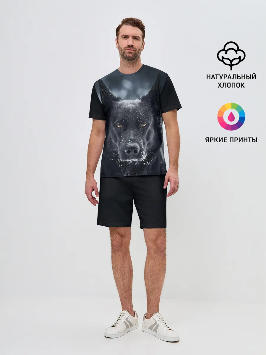 Мужской костюм с шортами / Dark Dog