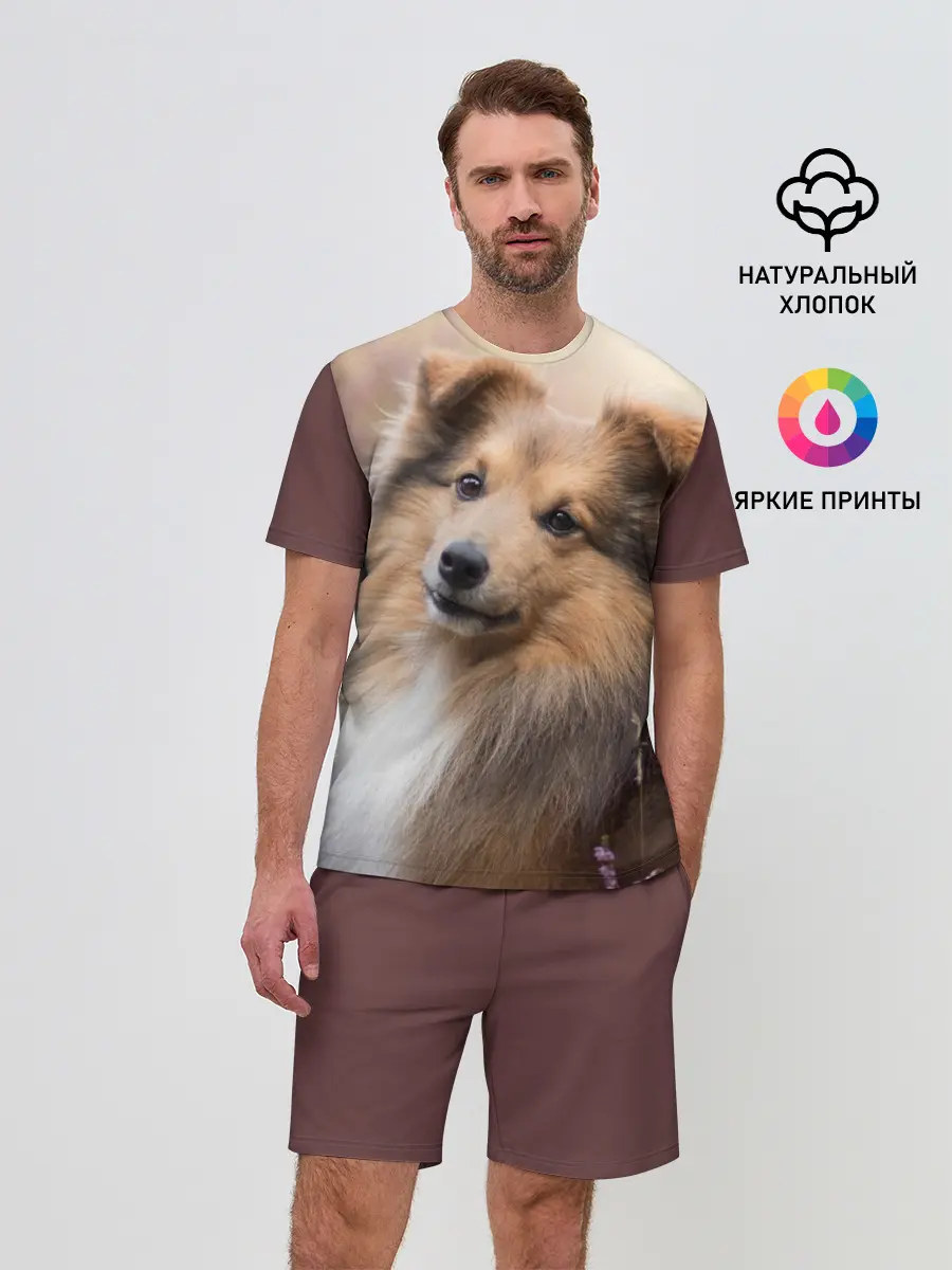 Мужской костюм с шортами / Шелти