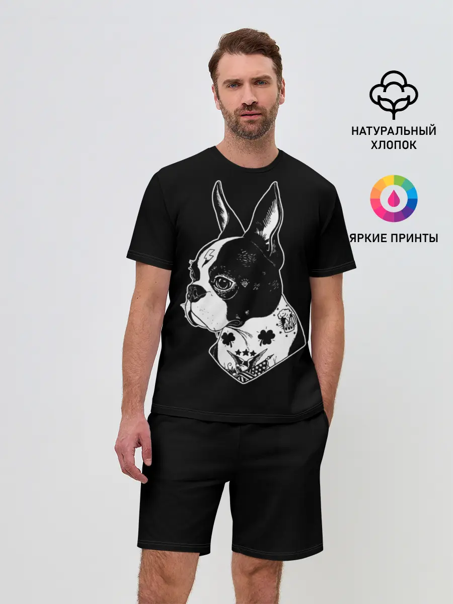 Мужской костюм с шортами / Французский Бульдог