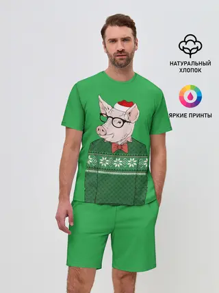 Мужской костюм с шортами / New Year Hipster Pig