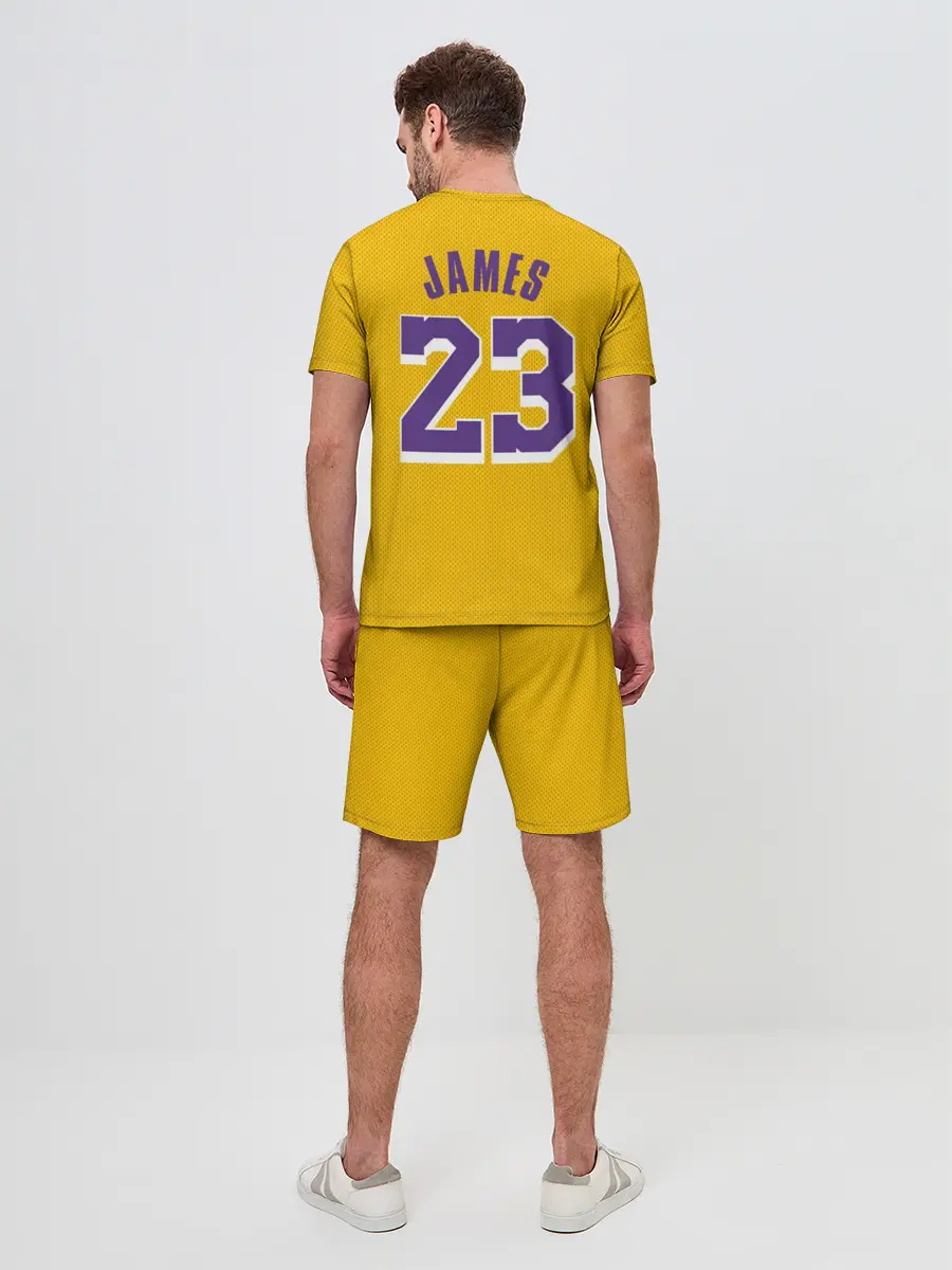 Мужской костюм с шортами / James 18-19 LA Lakers home