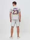Мужской костюм с шортами / James 18-19 third LA Lakers