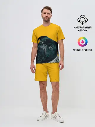 Мужской костюм с шортами / Бульдожка