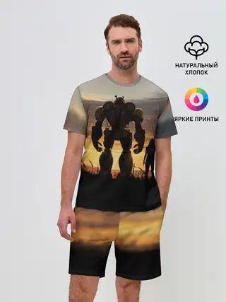 Мужской костюм с шортами / Бамблби и Чарли на закате