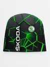 Детская шапка / 3D плиты с подсветкой Шкода