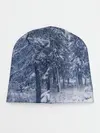 Детская шапка / СНЕЖНЫЙ ПЕЙЗАЖ