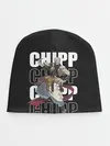 Детская шапка / Chipp
