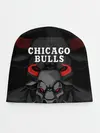 Детская шапка / CHICAGO BULLS ЯРОСТНЫЙ БЫК