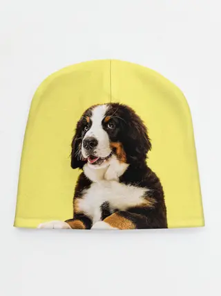 Детская шапка / Бернский зенненхунд, Berner Sennenhund