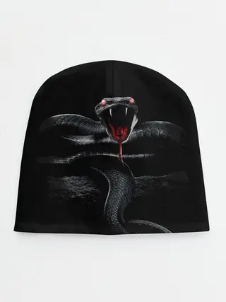 Детская шапка / ЗМЕЯ НА КАМНЕ НА ЧЕРНОМ ФОНЕ