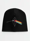 Детская шапка / No mens sky x Pink Floyd