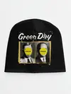 Детская шапка / Nimrod. Green Day
