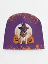 Детская шапка / МОПС НА ХЭЛЛОУИН