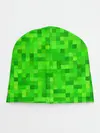 Детская шапка / MINECRAFT