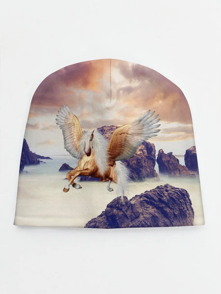 Детская шапка / Sea Sunset Horse