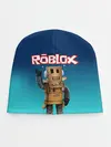 Детская шапка / ROBLOX