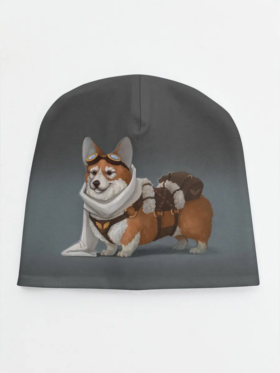 Детская шапка / КОРГИ ПИЛОТ