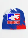 Детская шапка / LIMP BIZKIT