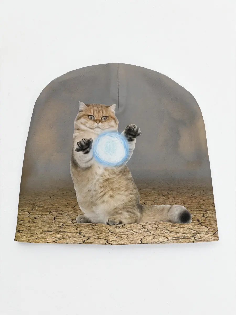 Детская шапка / Земляной кошак с расенганом