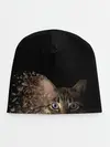 Детская шапка / Disintegrating Cat