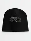 Детская шапка / Fantastic Beasts