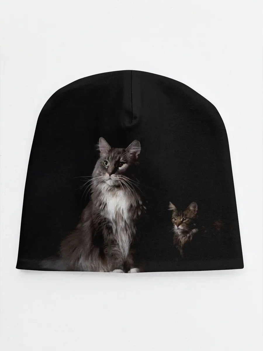 Детская шапка / Котики