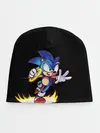 Детская шапка / Sonic