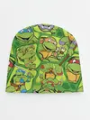 Детская шапка / Teenage Mutant Ninja Turtles