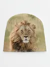 Детская шапка / Lion King