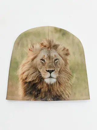 Детская шапка / Lion King