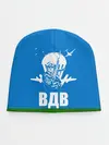 Детская шапка / ВДВ