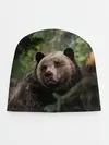 Детская шапка / Медведь
