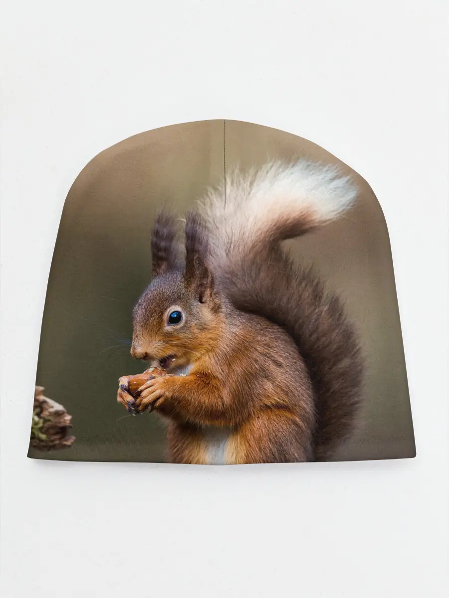 Детская шапка / Белка