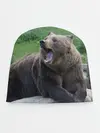 Детская шапка / Медведь