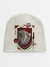 Детская шапка / Гарри Поттер