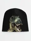 Детская шапка / Динозавр T-Rex