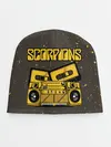 Детская шапка / Scorpions
