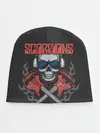 Детская шапка / Scorpions