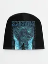Детская шапка / Scorpions
