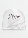 Детская шапка / Stray Kids