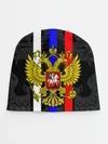 Детская шапка / РОССИЯ