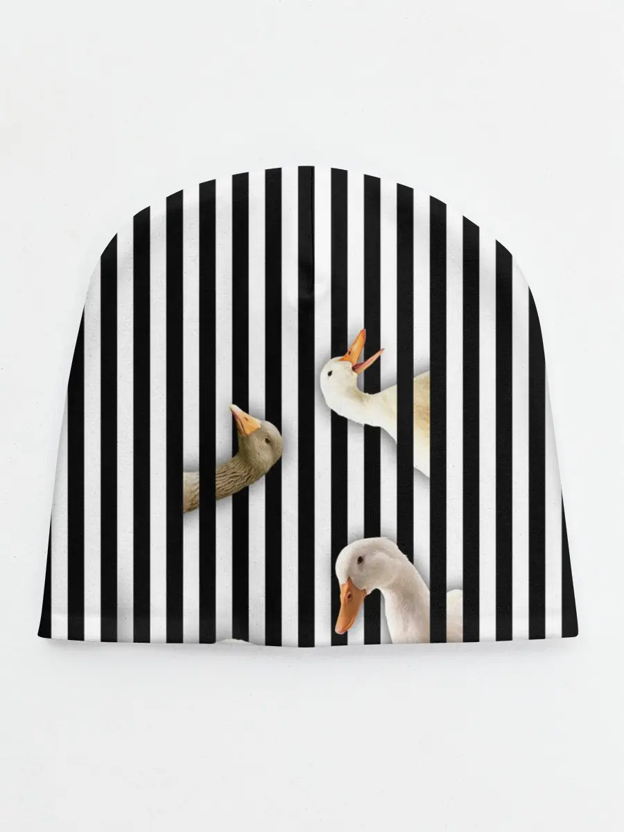 Детская шапка / Гуси