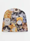 Детская шапка / КОТЯТКИ