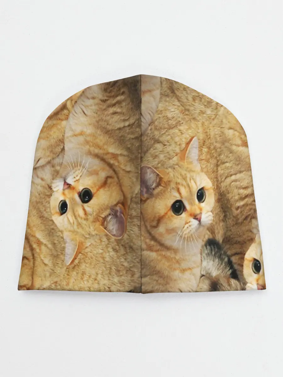 Детская шапка / КОТЯТУШКИ