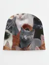 Детская шапка / КОТЯТКИ