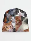 Детская шапка / КОТЯТКИ